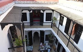 Riad Sasha